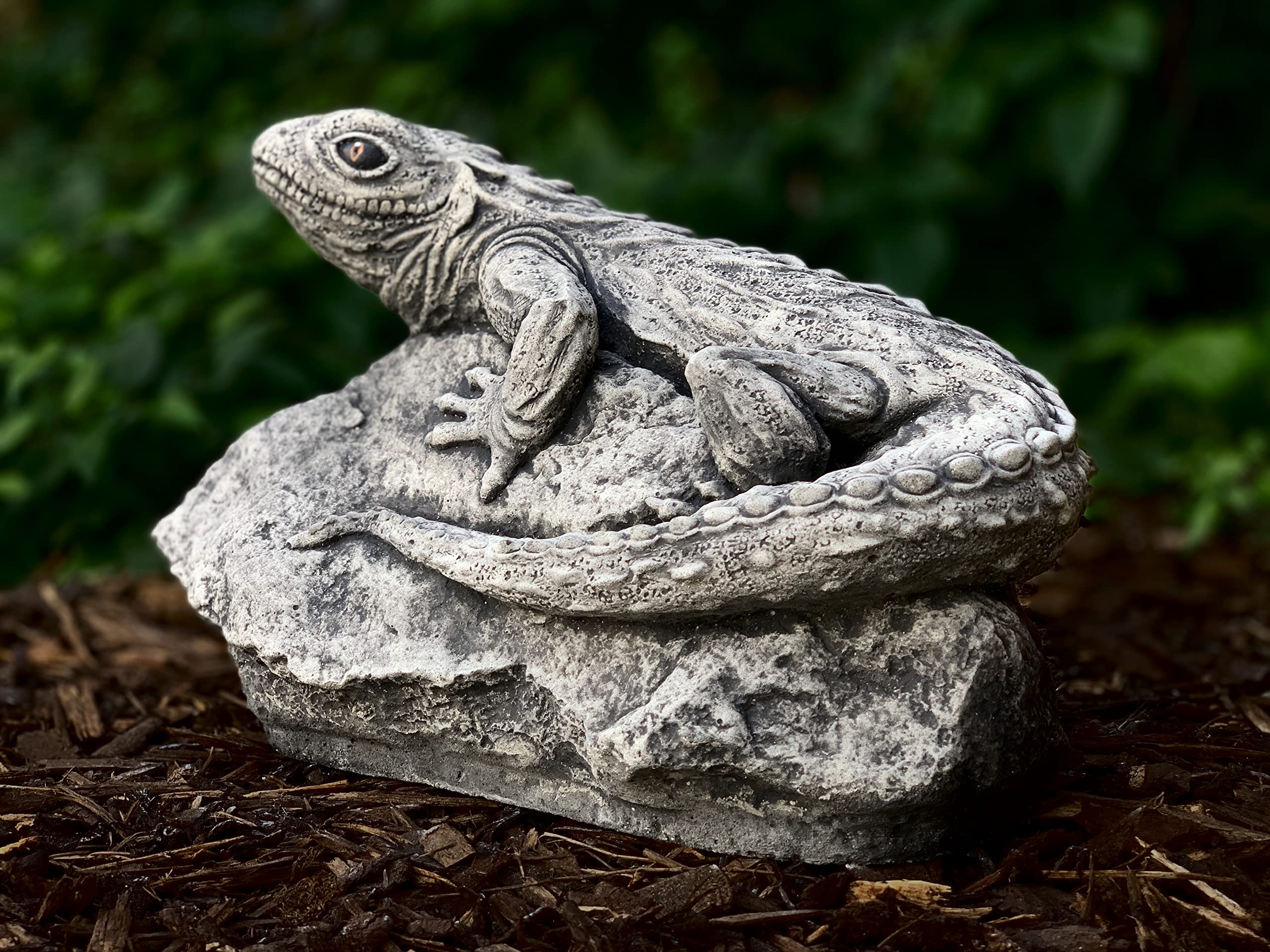 Amazon.com: Stone garden lizard Cement lizard on stone Concrete